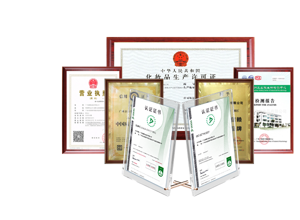 公司荣获荣誉证书